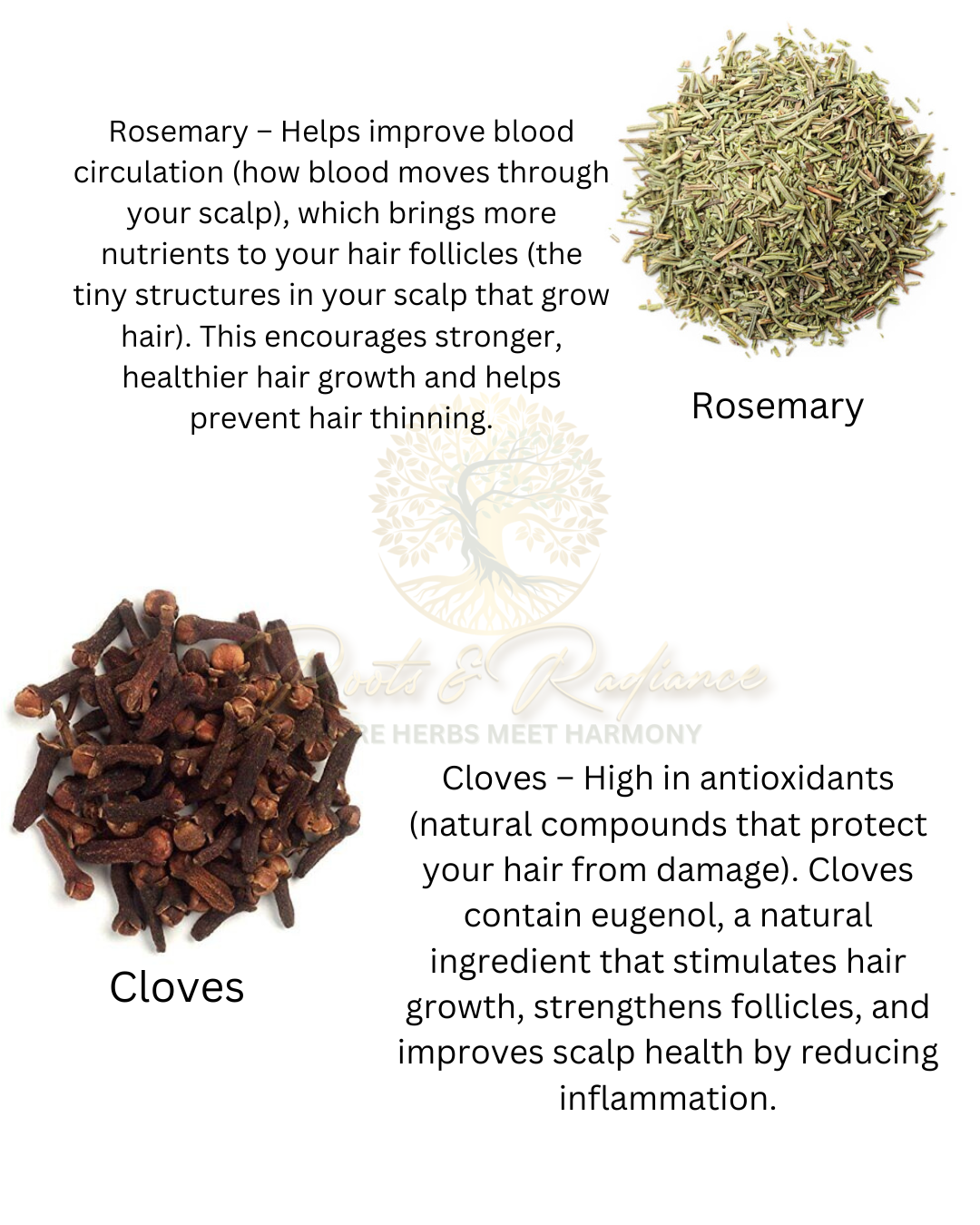 Oil Bundle 4oz